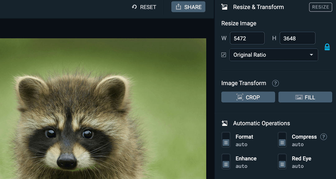 UI sample of image editor
